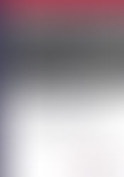 Books: Planificación estratégica en los gobiernos electrónicos locales