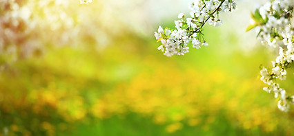 High_resolution_wallpaper_background_ID_