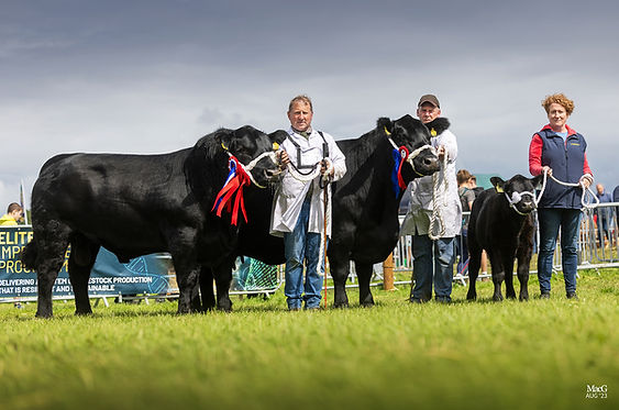 Our crew with show winning cattle