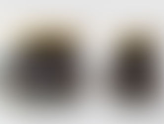 瓶詰生胡椒が誕生しました