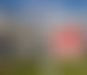 Is It Worth Painting Before Selling?