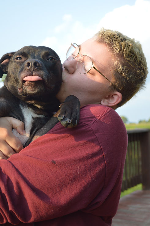 A person kisses a dog who's sticking their tongue out