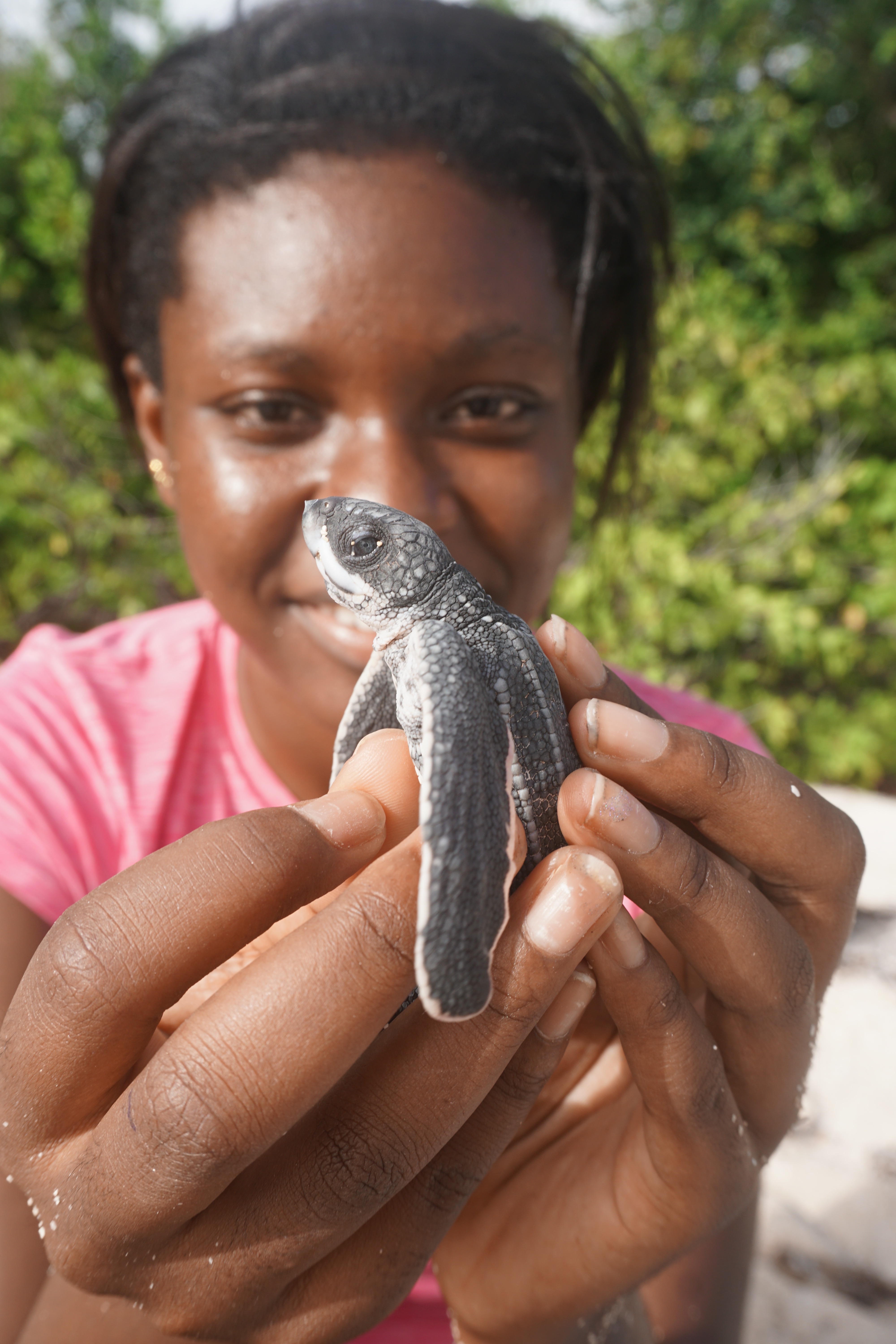 Zoya and leatherback hatchling