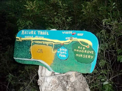 Restored Map of Petit Carenage Mangrove,