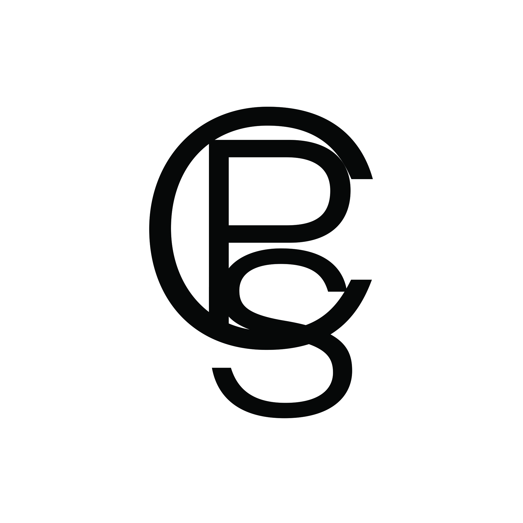 Capital Professional Staffing LLC logo