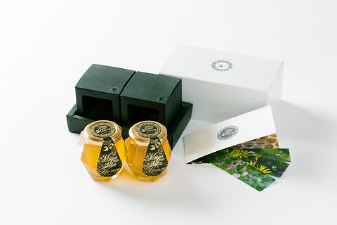 ミツバチねこチャンとはちみつ　チャーム　a ミツバチねこチャンとはちみつチャームa