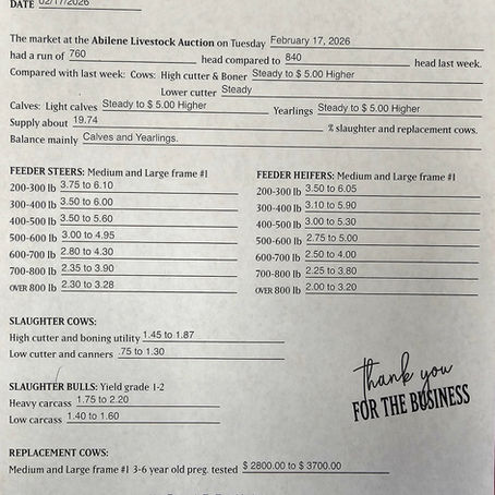 02/17/26 Market Report