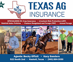 Screenshot 2024-06-29 144654.png