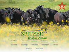 Screenshot 2025-05-18 124210.png