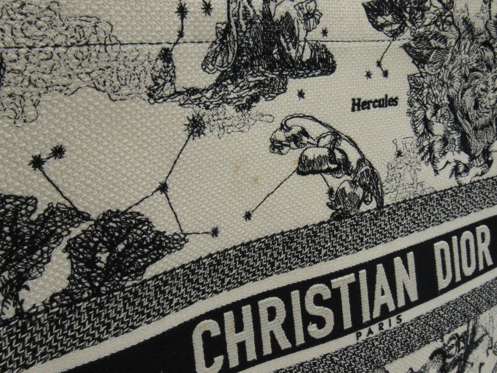 Christian Dior Large Book Tote Zodiac Toile De Jouy Embroidered Canvas