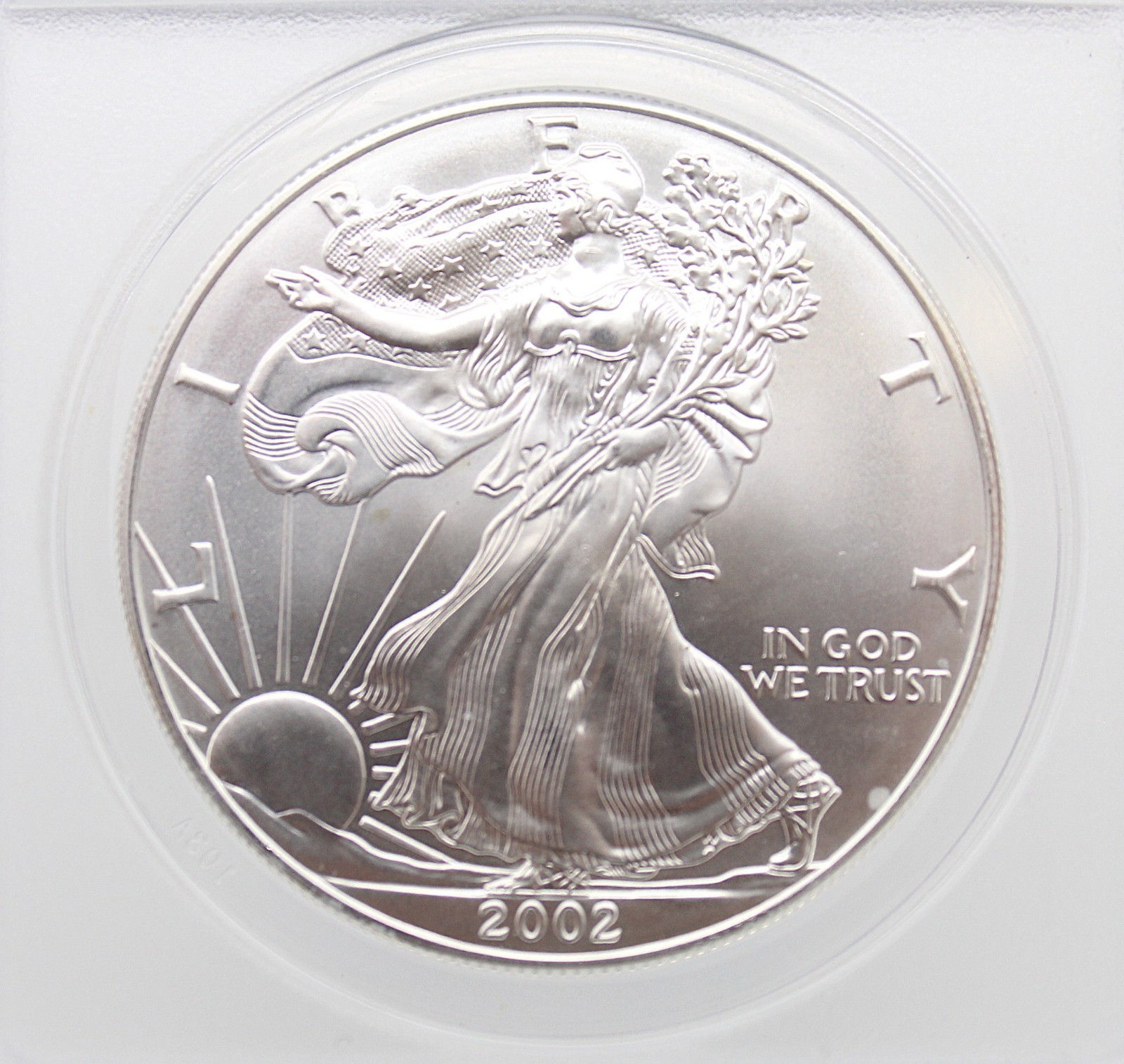 2002 $1 AMERICAN SILVER EAGLE ANACS MS69 MONSTER BOX COLLECTION GREEN LABEL