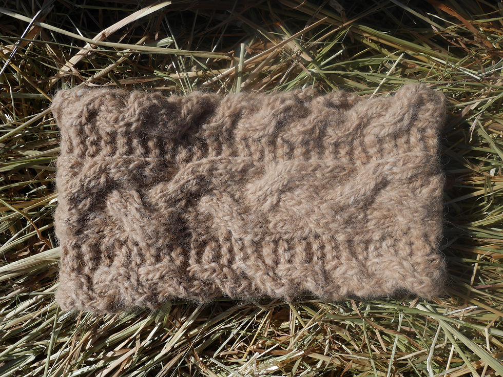 Stirnband Peanut