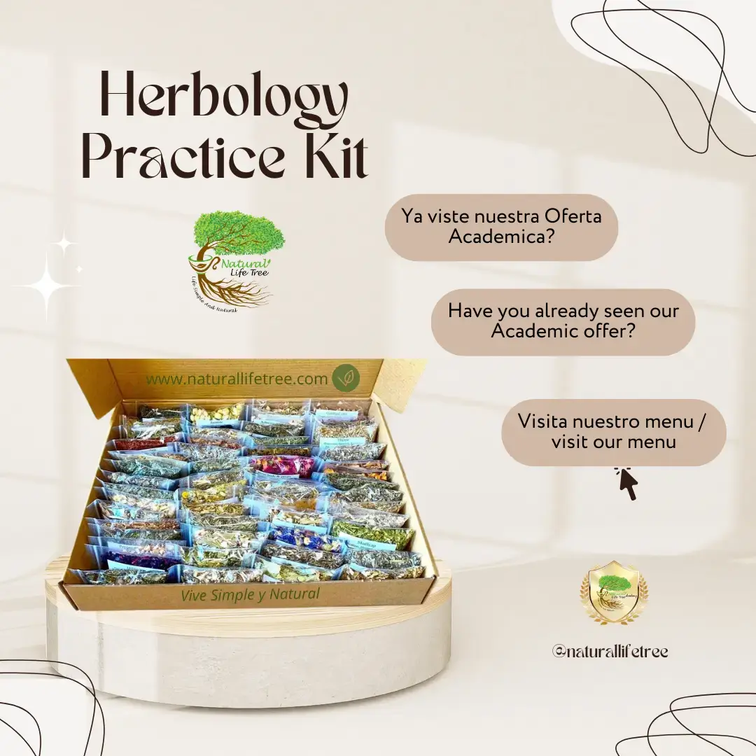 "Bolsas transparentes del Herbology Practice Kit con hierbas y tés. Kit de práctica para mezclas de infusiones."