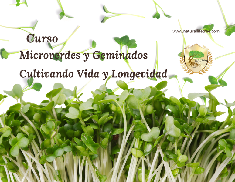 Curso Microverdes y Germinados