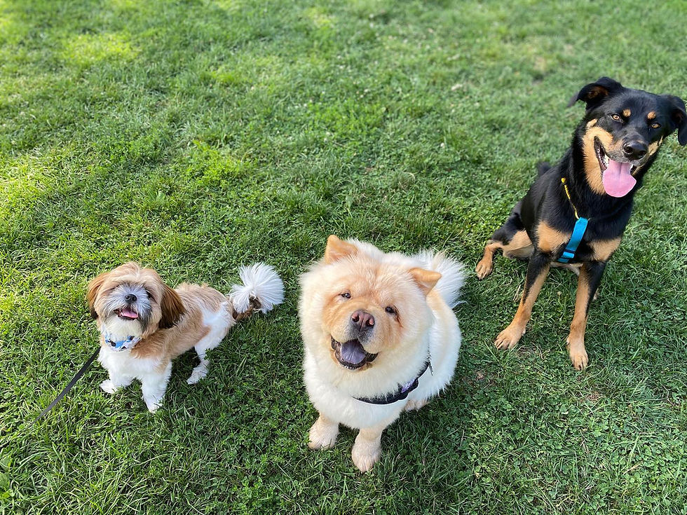 The grass is greener on the other side!