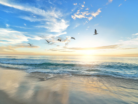 1:1 Counselling & Coaching