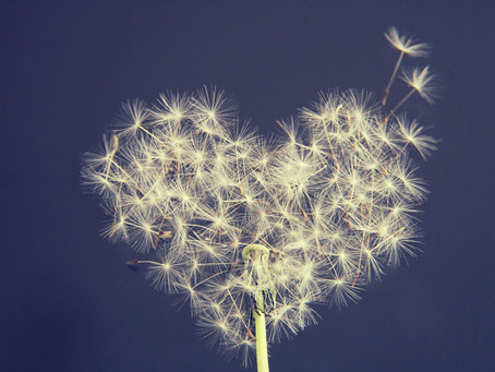 Testimonials - Mini Retreats