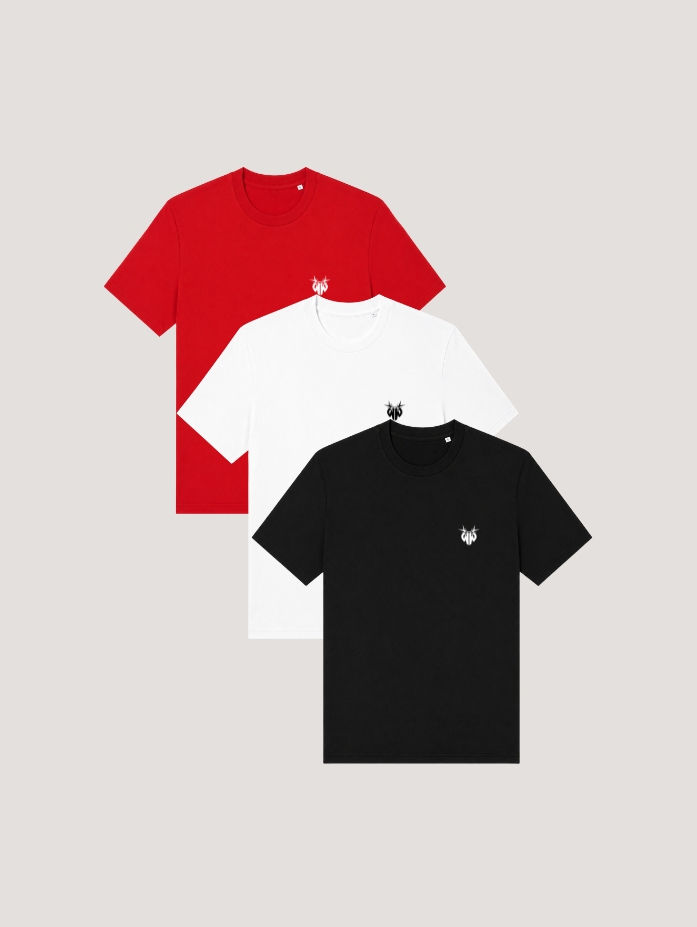 LOT DE 3 T-SHIRTS MONOGRAM HOMME