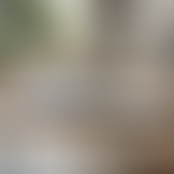 Access Homeowner Documents Easily with Leeward Isles