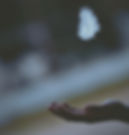 shallow focus photography of white feather dropping in person's hand_edited.jpg