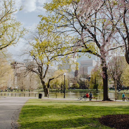 Spring in NYC For All Budgets