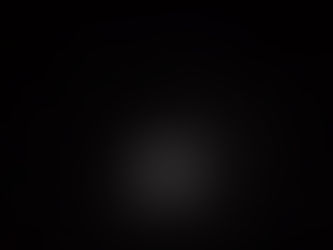 Location: The Heart of The Forest