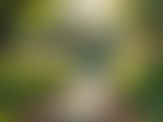 Healing Gardens: A Community Space for Growth