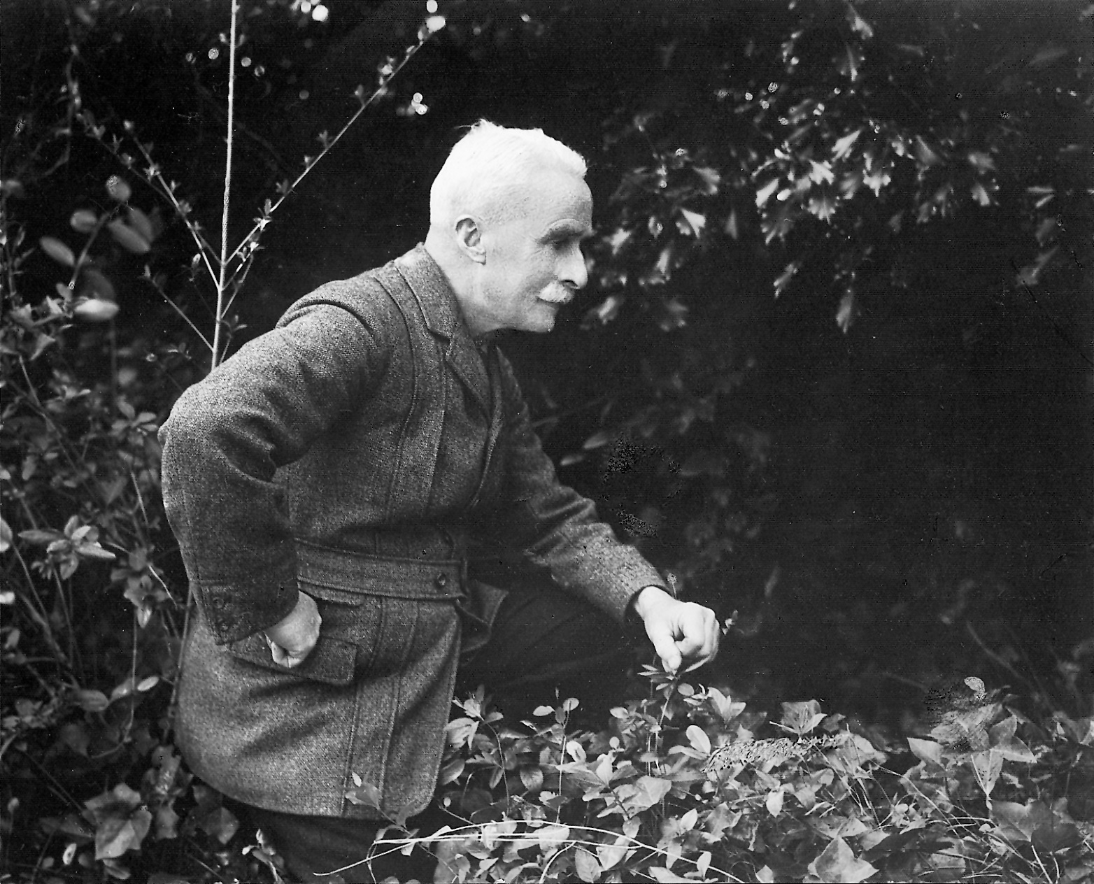 Jock Lewes - Co-founder of the SAS