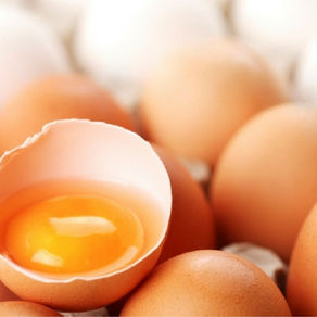 Choline: A Vital Pregnancy Nutrient
