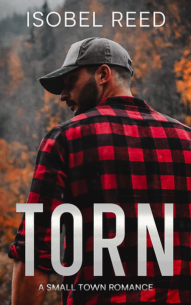 Torn ebook cover_edited.jpg