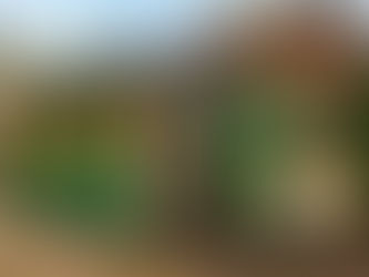 Escritórios Móveis: A Revolução dos Contêineres Marítimos nos Ambientes de Trabalho