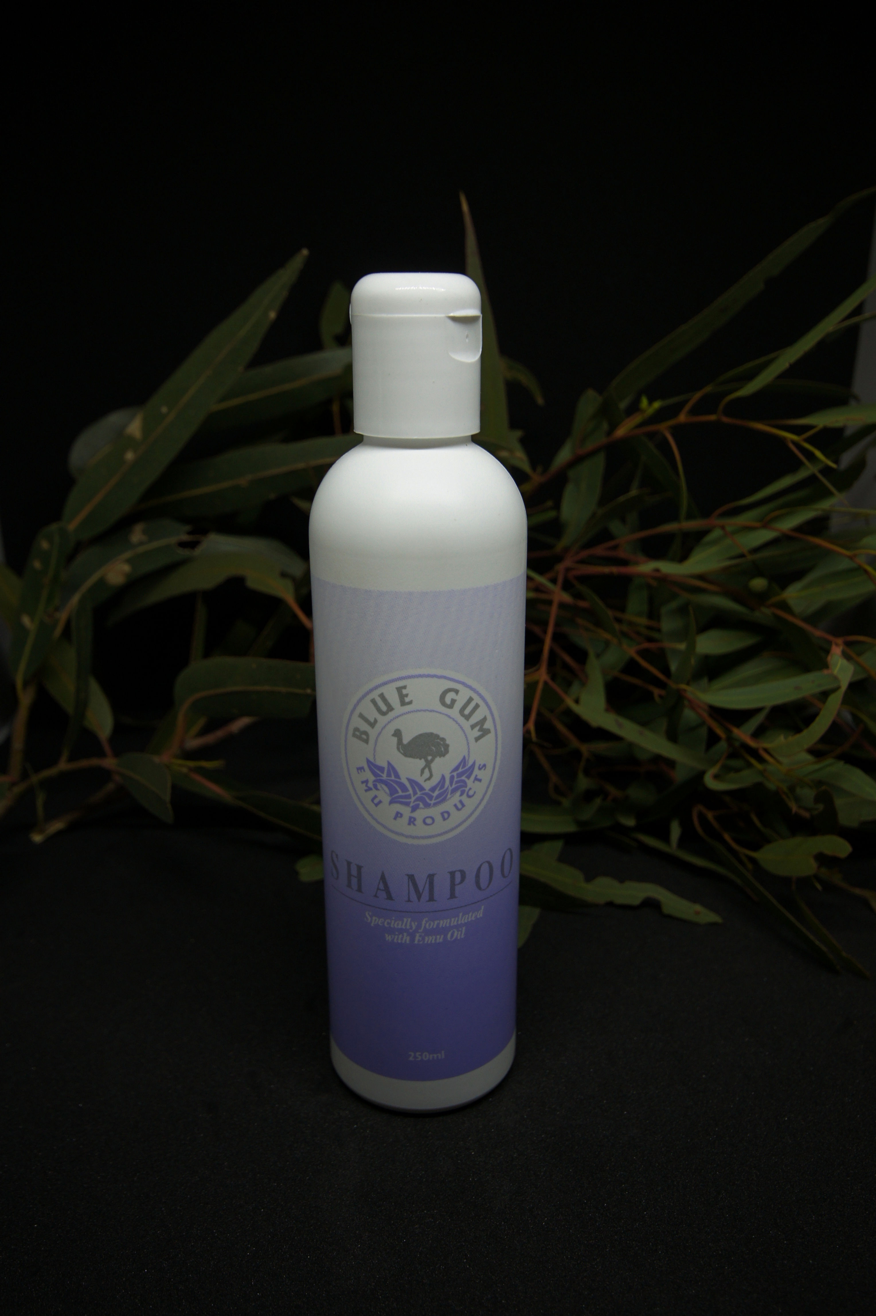 Hair Shampoo 250ml