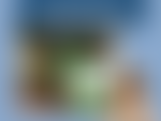 Investigaciones de Red Cefaloca en el IHC 2025 - Parte 1I