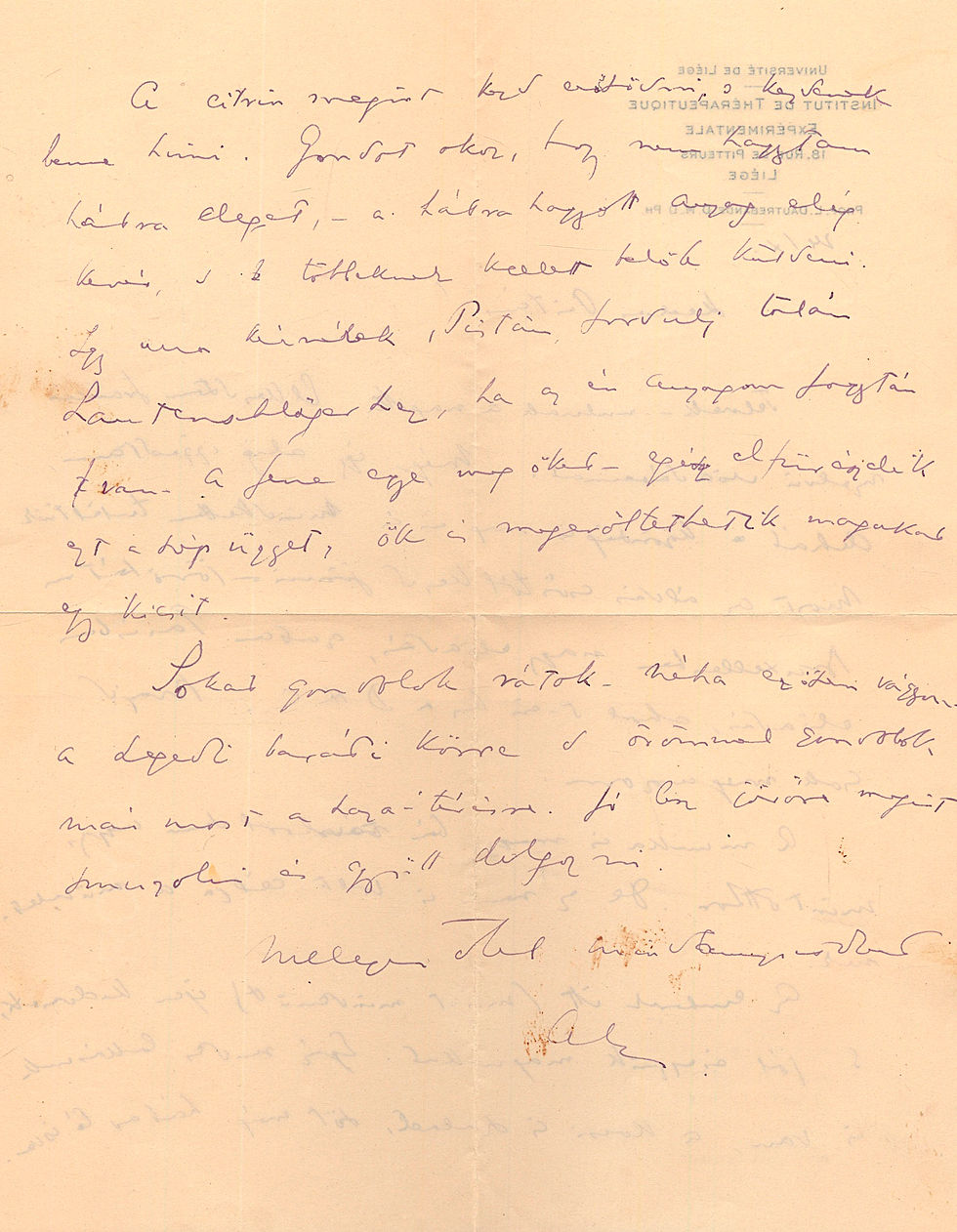 119. Szent-Györgyi Albert (1893-1986) biokémikus, orvos autográf levele...