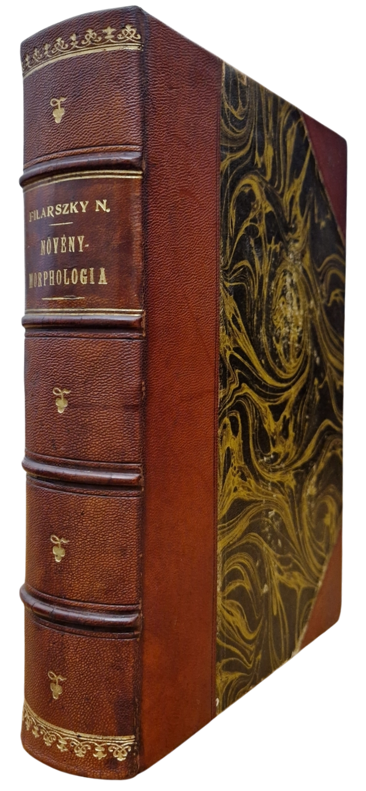 142. Filarszky Nándor, dr.: Növénymorphologia.