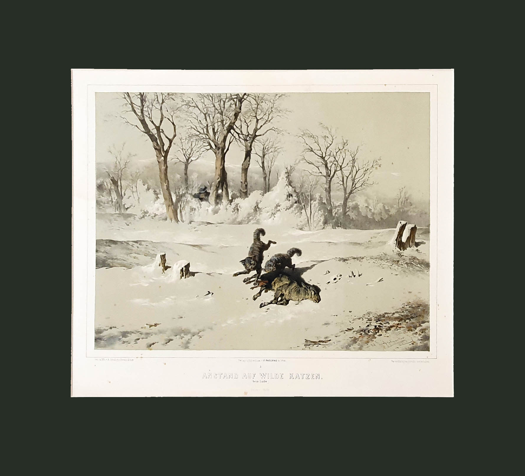 Straßgschwandtner, Josef Anton: Anstand auf wilde Katzen.