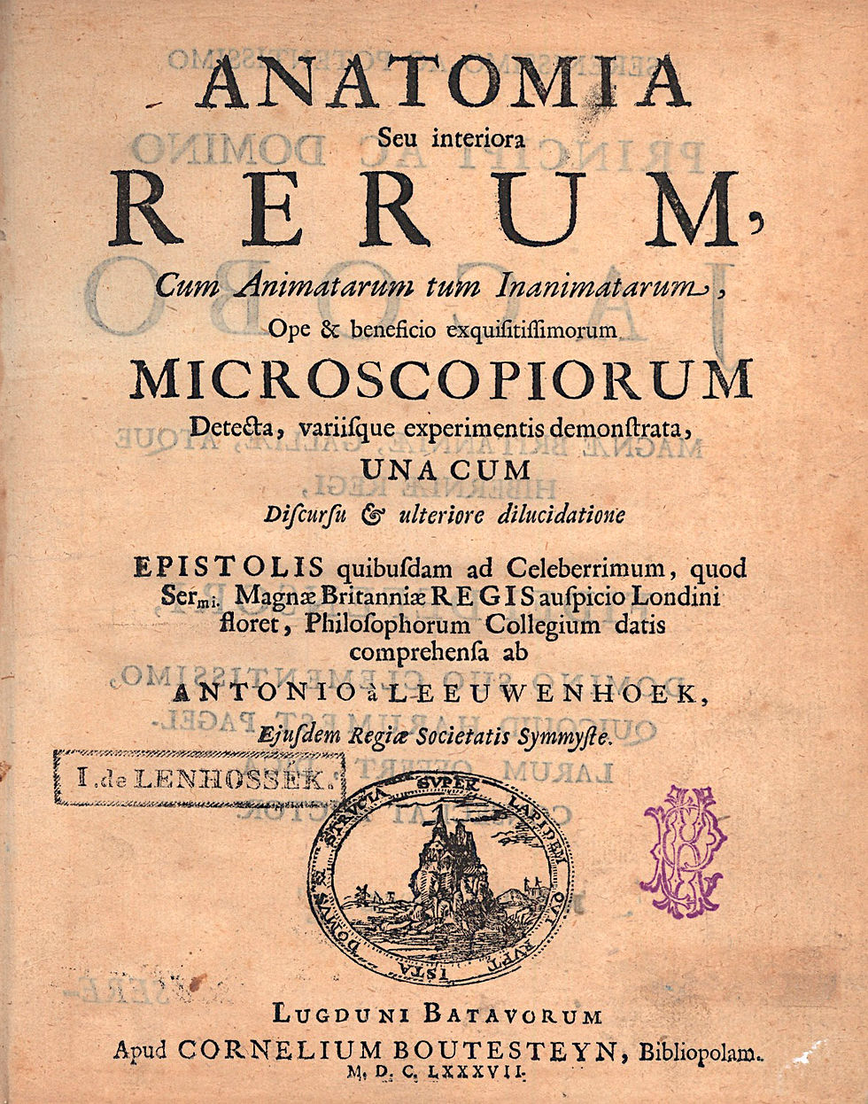 77. Leeuwenhoek, (Anton van) Antonius a: Anatomia Seu interiora Rerum...