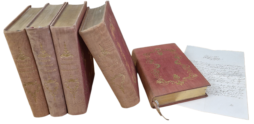Thumbnail: Linzbauer, (Ferenc Xavér) Franciscus Xav(erius):  Codex sanitario-medicinalis...