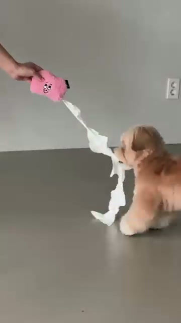 UGLY TOY