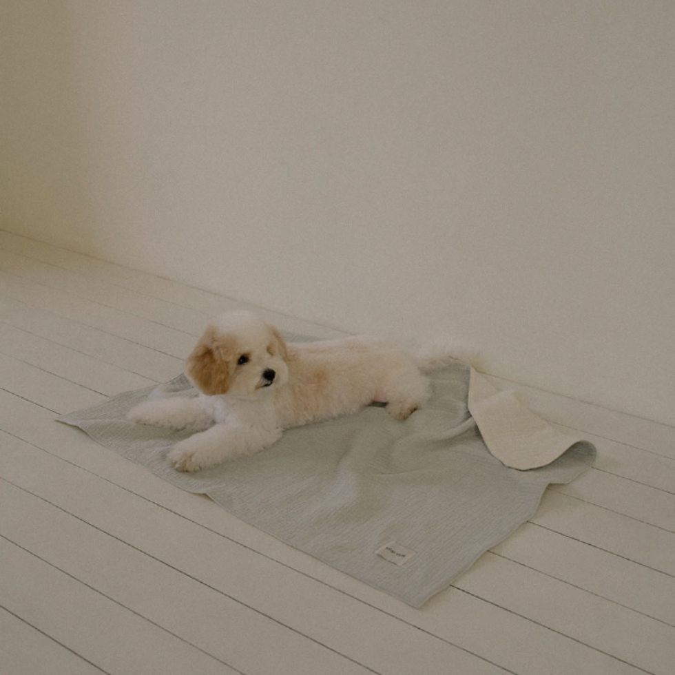 DOUBLE GAUZE BLANKET PALE BLUE