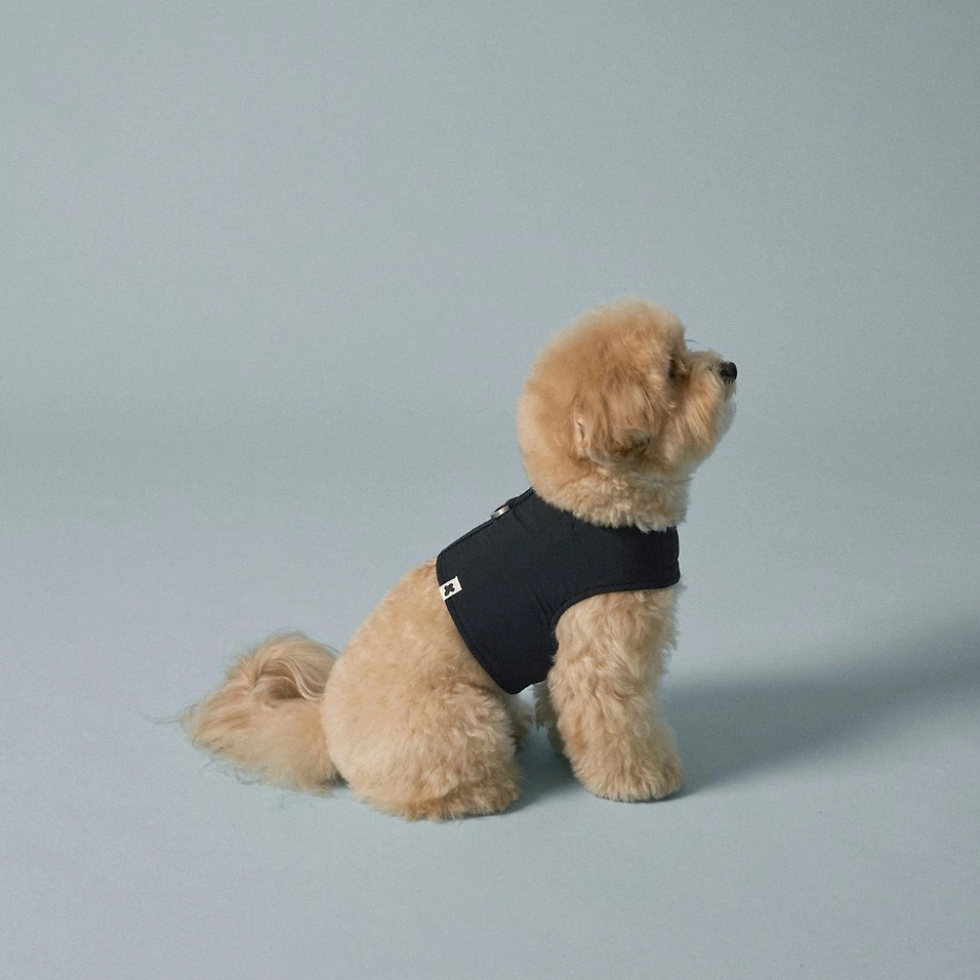 COOL TOUCH WALK JACKET