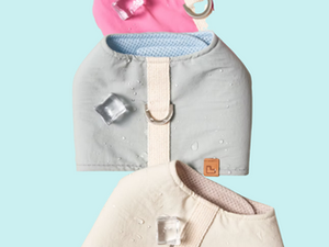 暑さ対策も、おしゃれも。COOL TOUCH WALK JACKETで始める、夏のお散歩スタイル。