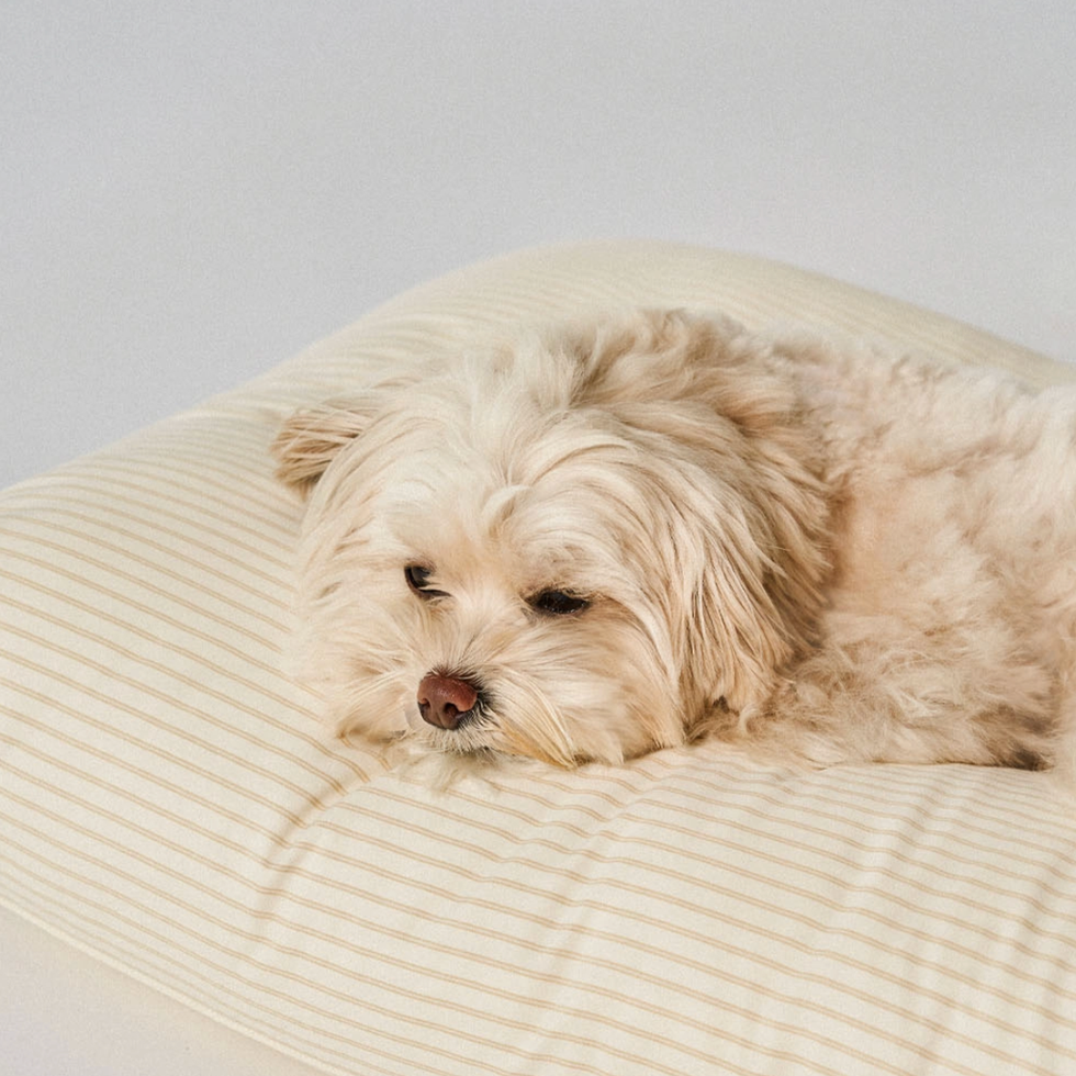 REST BED