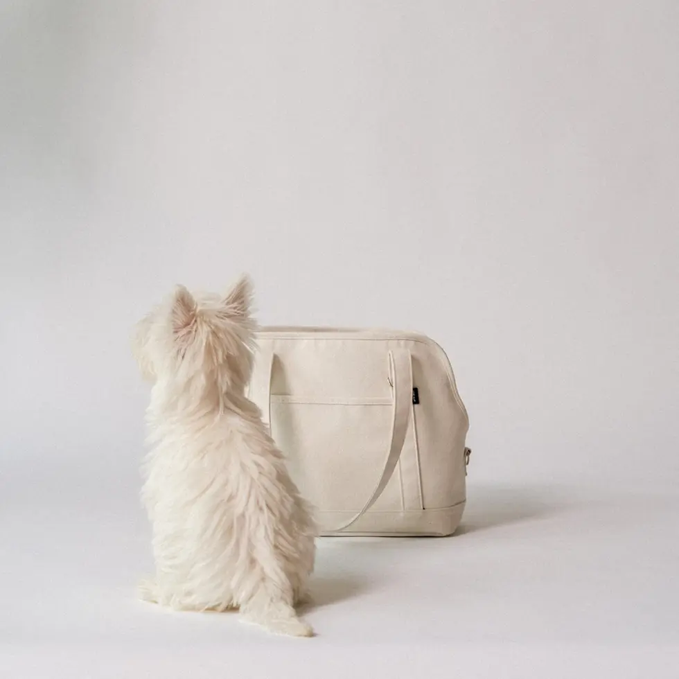 CANVAS CARRY BAG 4