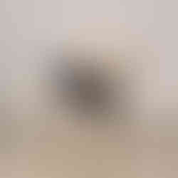 Wellon down puffer vest Durable Black