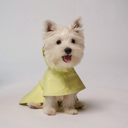CITY WALK RAIN PONCHO