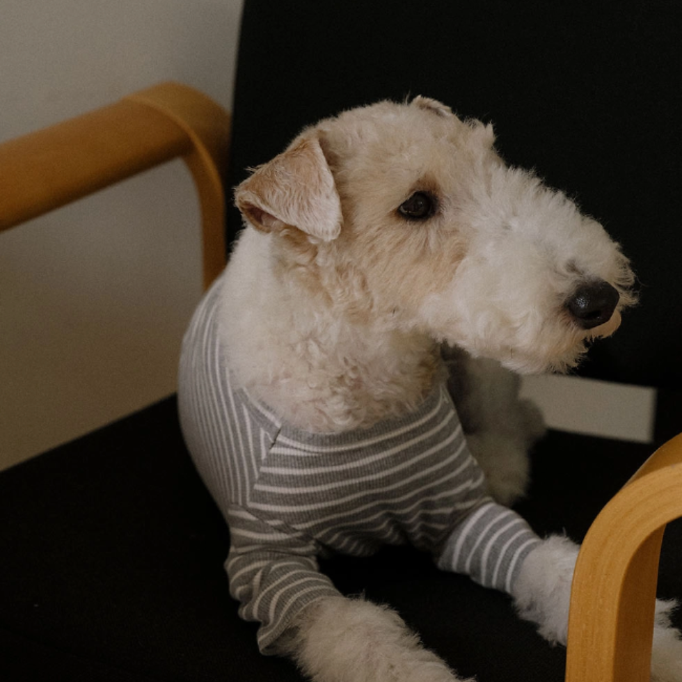 STRIPED T-SHIRT GRAY