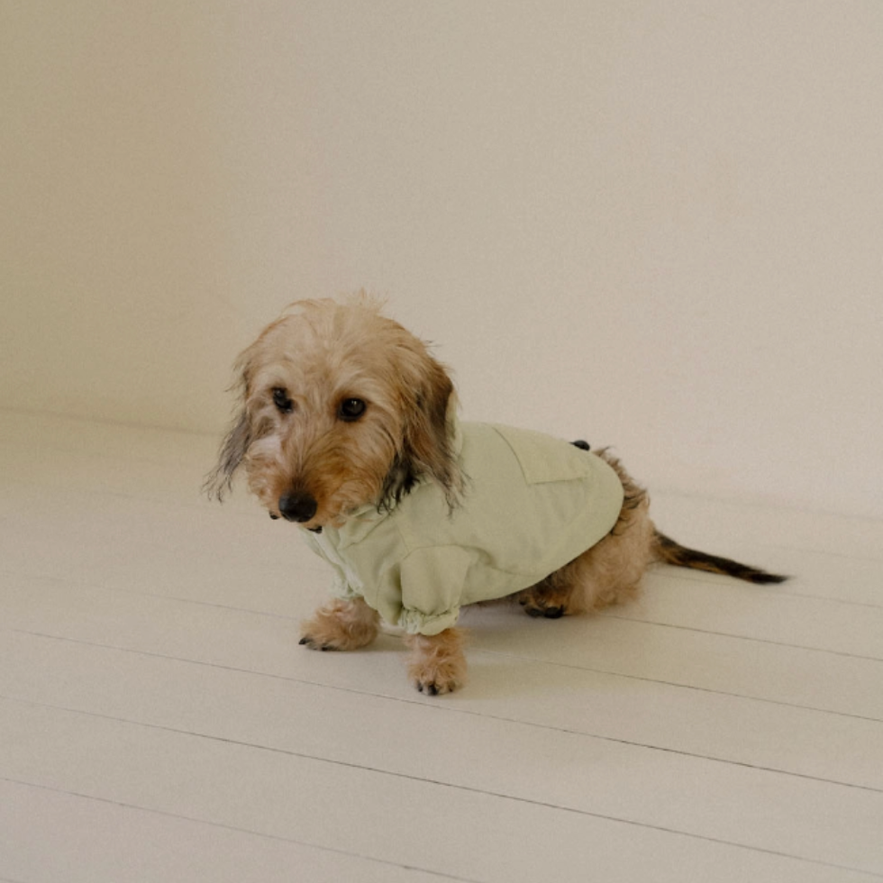HOODED ANORAK MELON