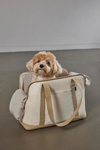CANVAS CARRY BAG BAIGE size M | small stuff jp