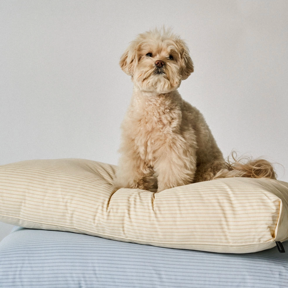 REST BED